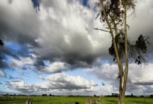 爱游戏体育：[NBA]詹姆斯26分11助攻 主场不敌黄蜂.