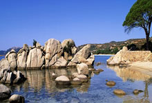 爱游戏体育：体坛名场面丨11年鹿特丹世乒赛，国乒七神降临.